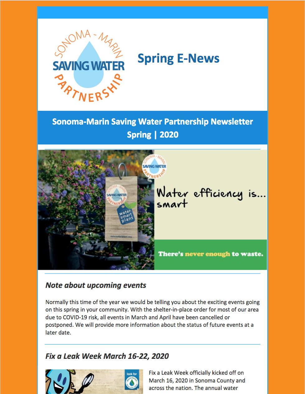 Spring 2020 Newsletter Cover