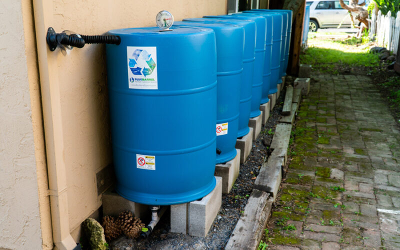 rainwater barrels