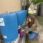 rainwater barrels