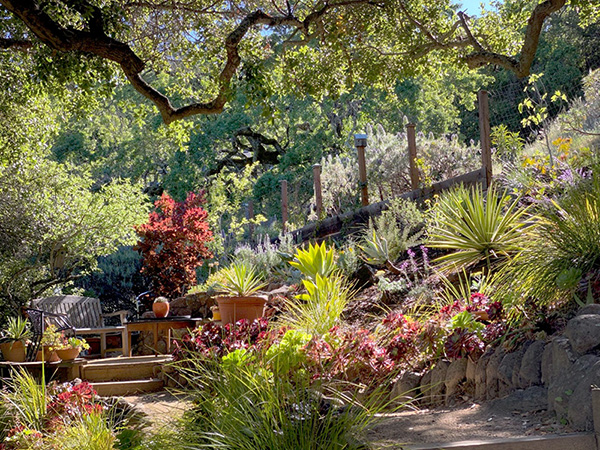 lush garden and sitting area