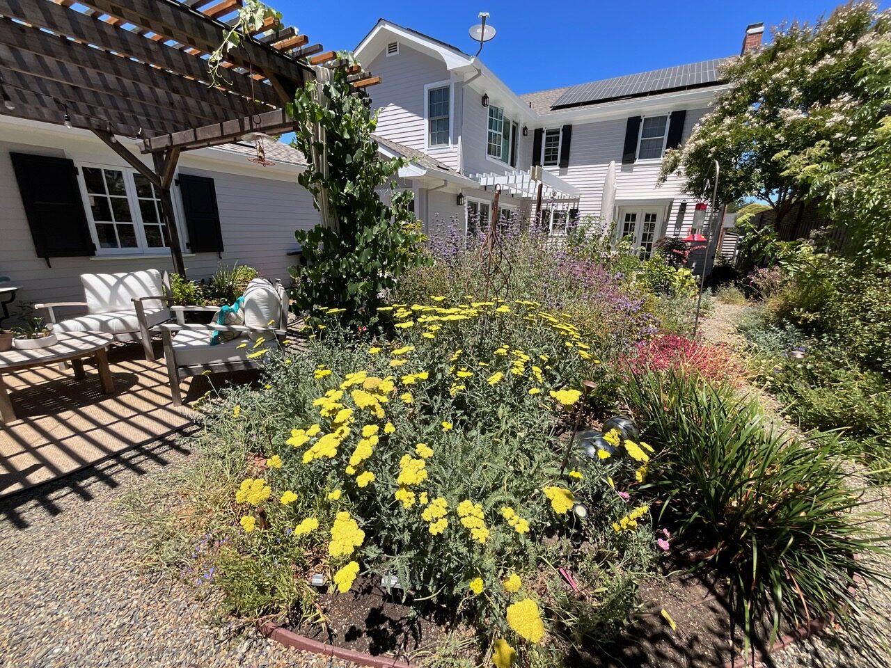 House with low water use plants