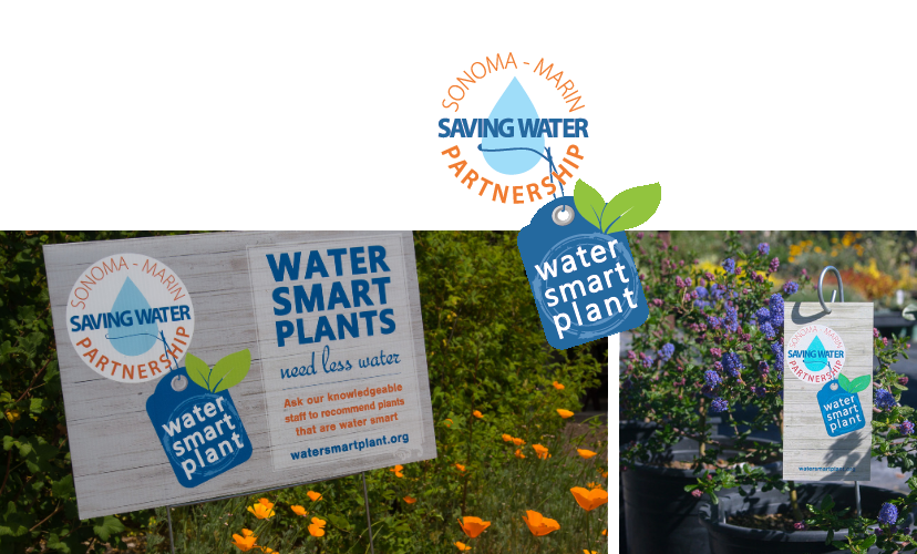 water smart sign and label on a plant