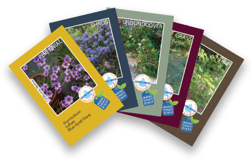water smart plant cards fanned out