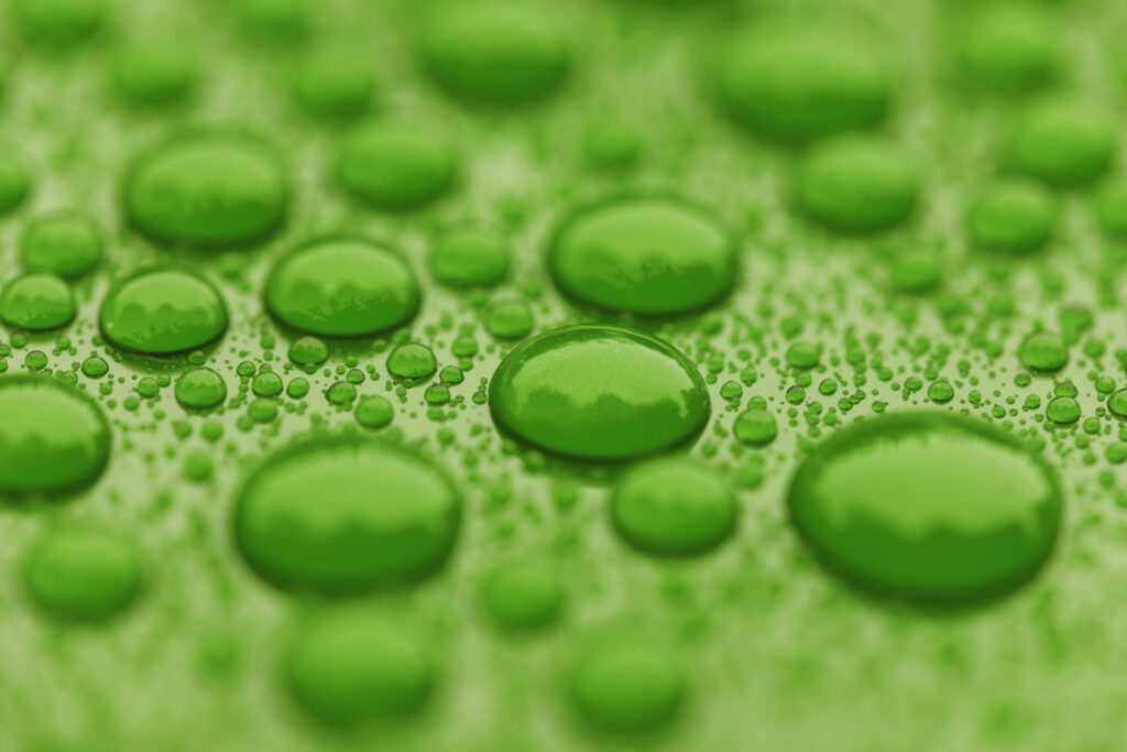 closeup of water on a green car