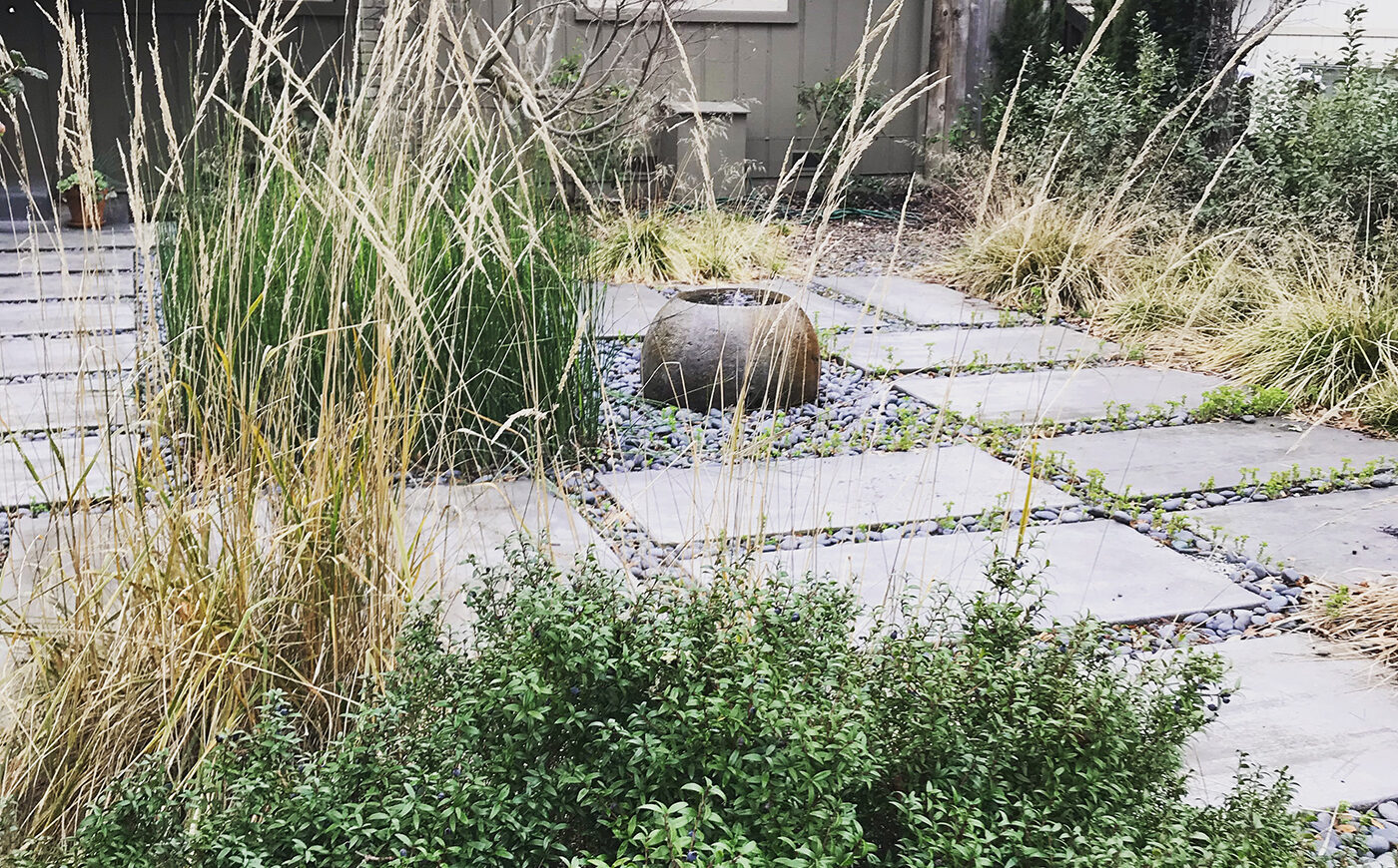 Concrete hardscape and native grasses in Healdsburg California garden photo by April Owens