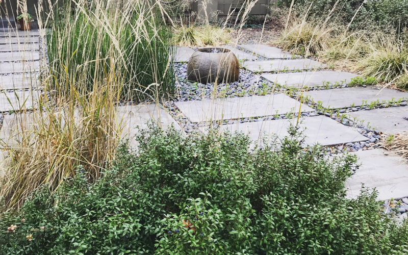 Concrete hardscape and native grasses in Healdsburg California garden photo by April Owens