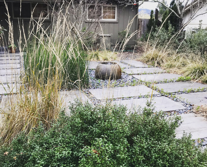 Concrete hardscape and native grasses in Healdsburg California garden photo by April Owens