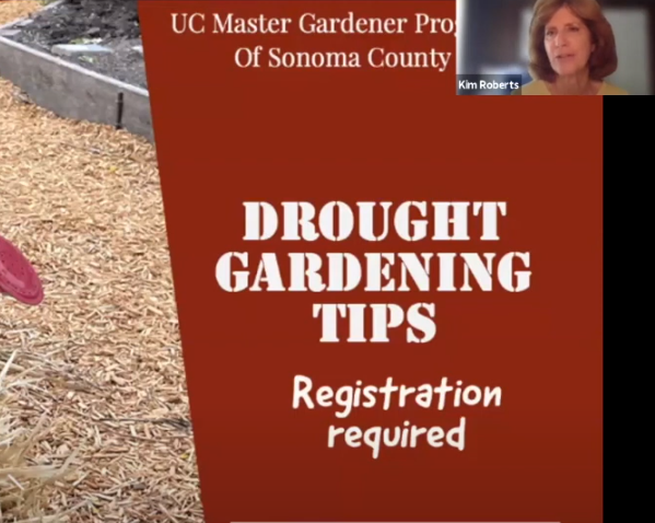 Powerpoint slide: Drought Gardening Tips