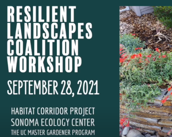 Powerpoint slide: Resilient Landscapes Coalition Workshop