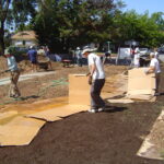 Sheet mulching a lawn.