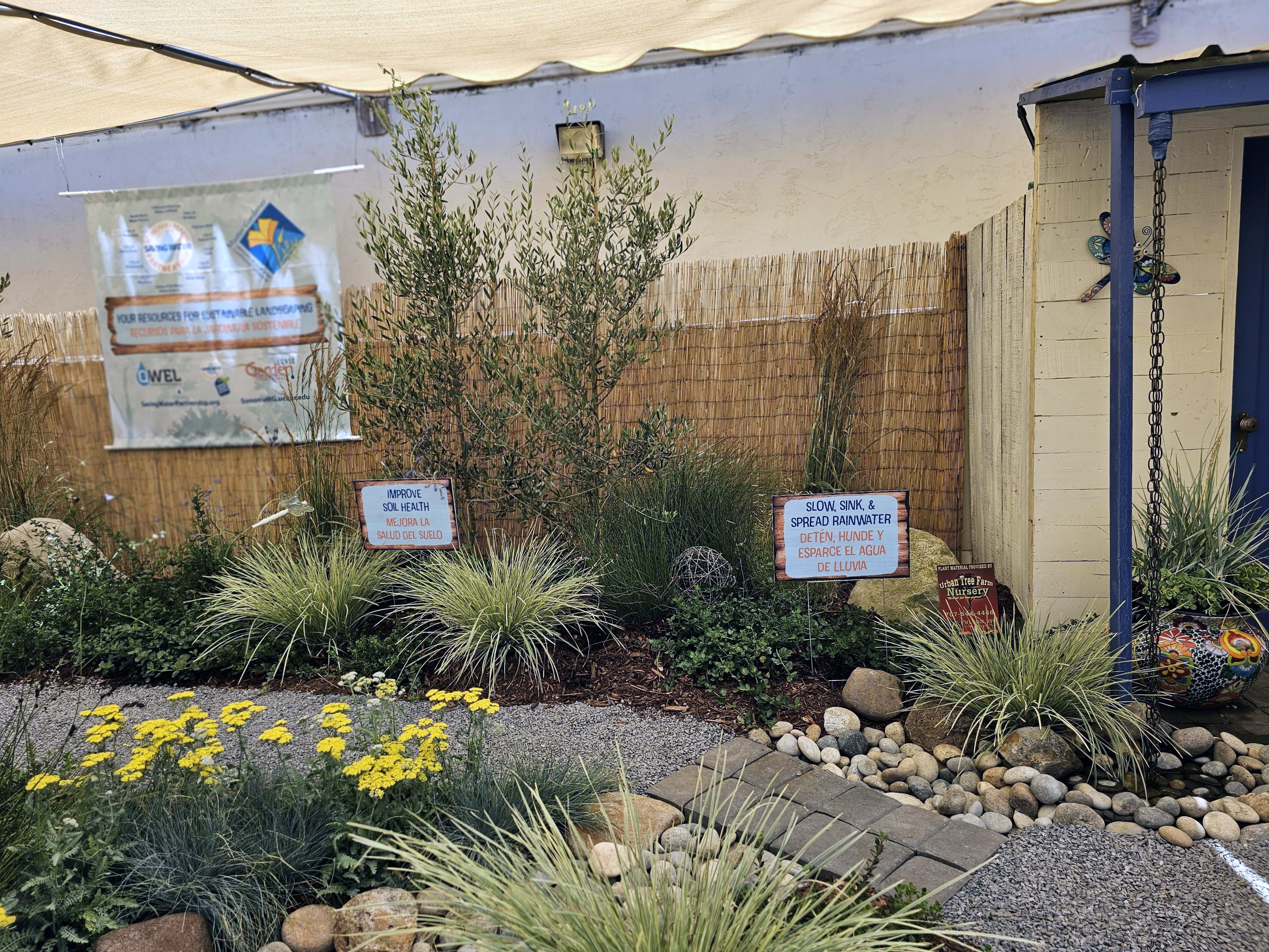 Slow sink and spread rainwater , improve soil health signs in a garden