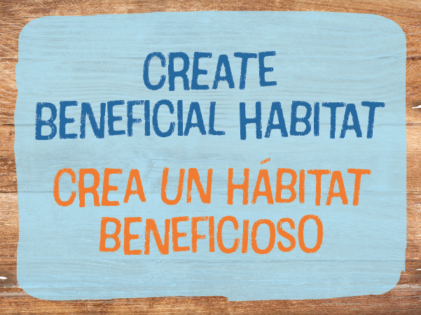 Create Beneficial Habitat - Crea un hábitat beneficioso