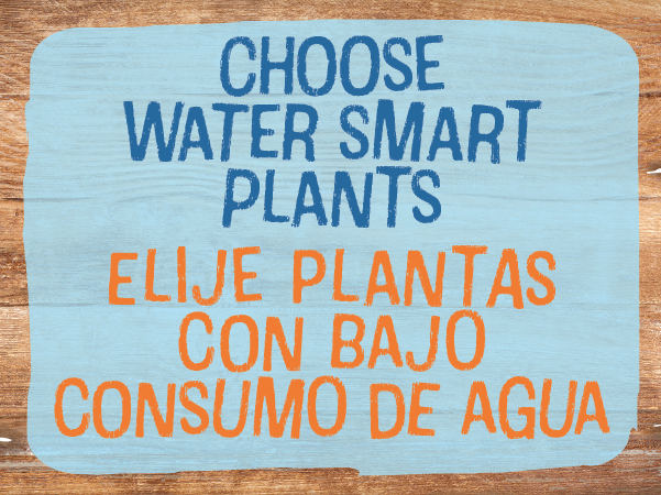 Choose Water Smart Plants - Elije plantas con bajo consumo de agua