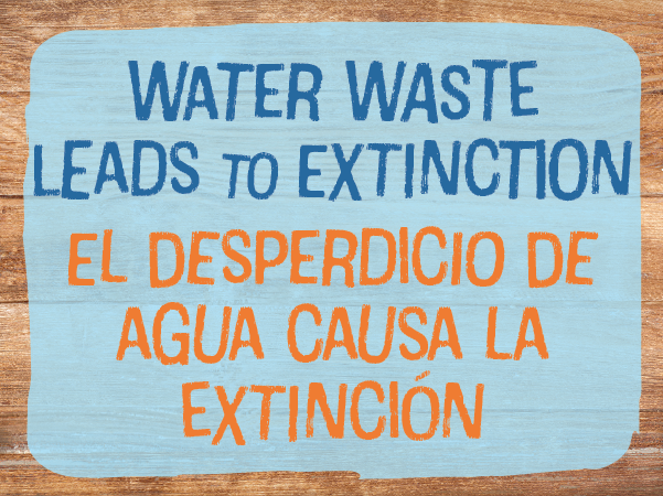 Water Waste Leads to Extinction - El desperdicio de agua causa la extinción