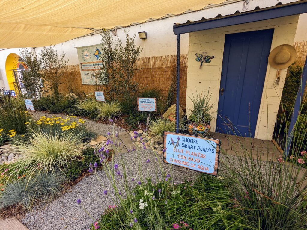 Demonstration garden of low water use plants