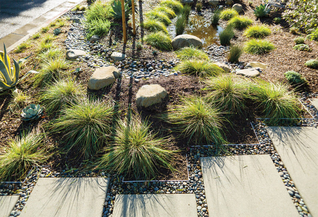 Low water use landscape with swale.