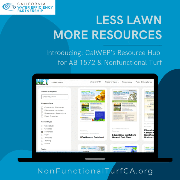 Non-Fuctional Turf website graphic