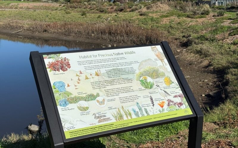 A sign in front of a pond reads 'Habitat for Precious Native Wildlife'