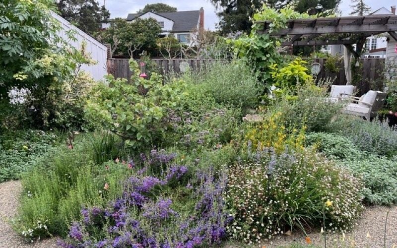 A large group of various shrubs creates an eye-catching centerpiece for the yard