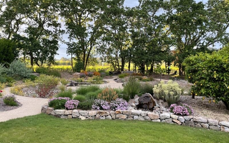 A lounge area with winding pathways, a barrier of trees, and blooming native plants