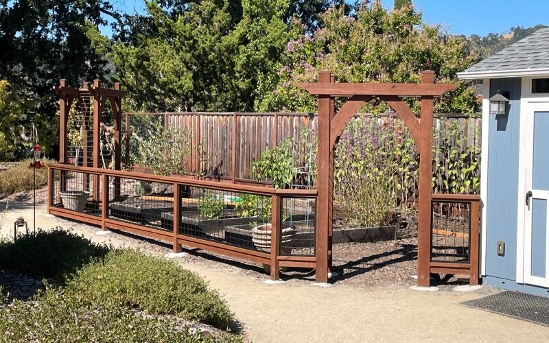 A modern wooden fence encloses garden beds