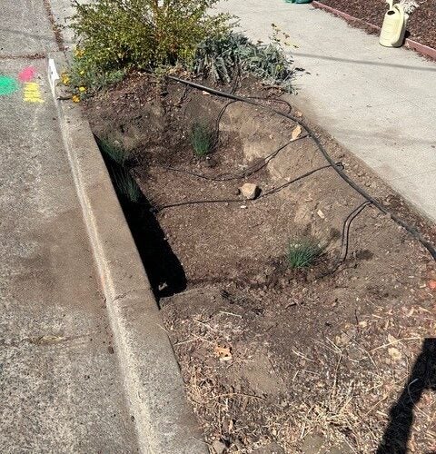 The rain garden being dug out during construction