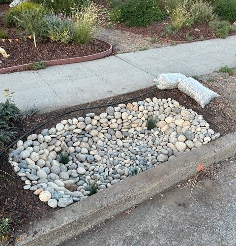 Rocks being added to the curb for construction of the rain garden