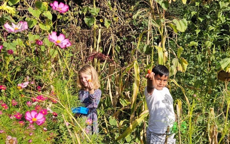 Two children walk amongst wildflowers and hold up small fruits