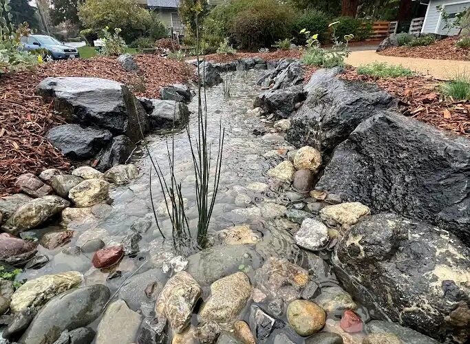 A long rain gardening mimics a creek. Grasses grow out of it