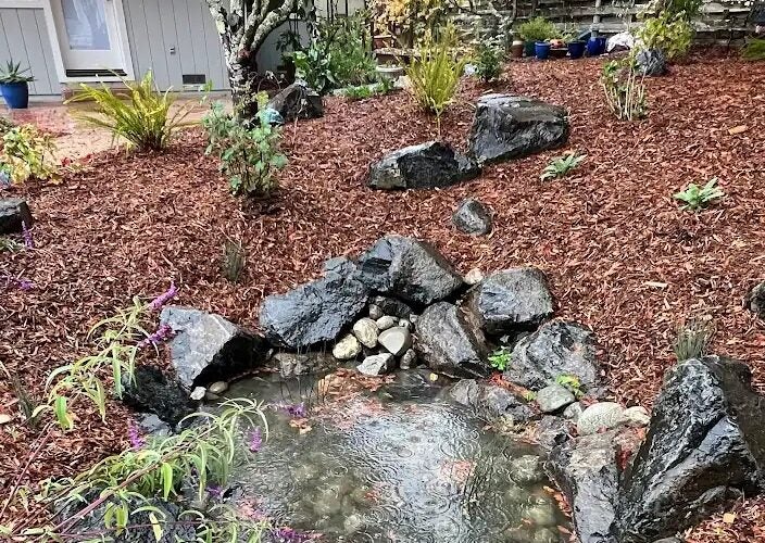 A rain garden filling with water