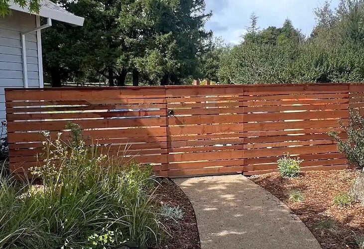 A fence with native plants planted in front of it
