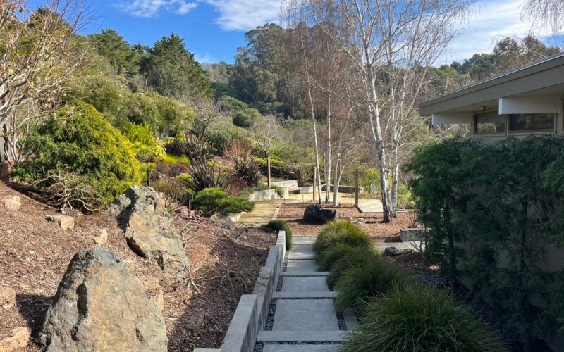 Another view of the walkway with green and purple plants around it