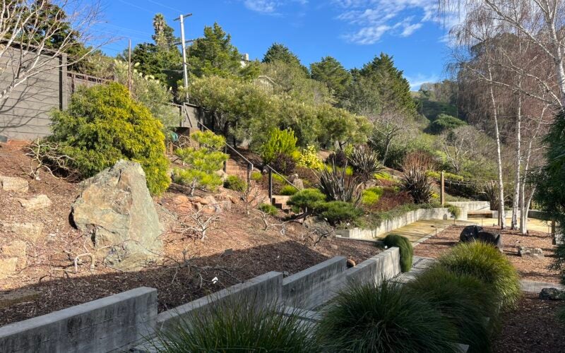 The concrete and low water plants are good firescaping