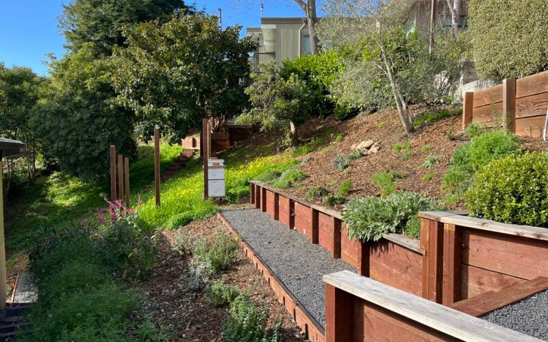 The border of the yard planted with young plants