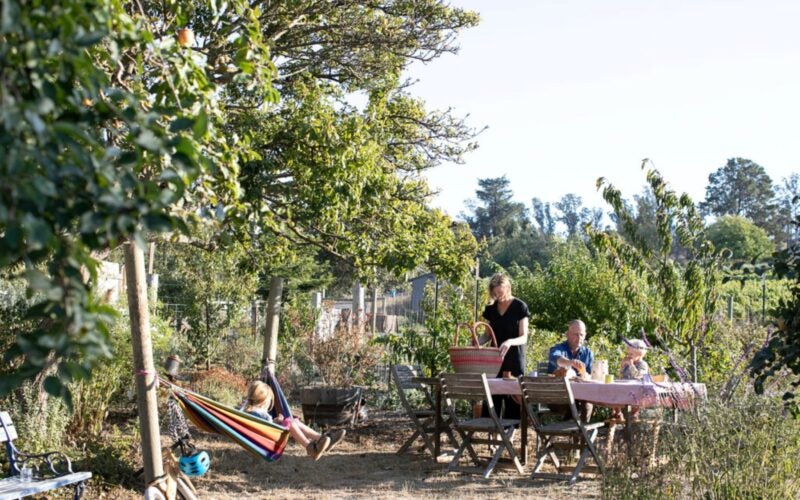 A family of four sits in a garden having a picnic