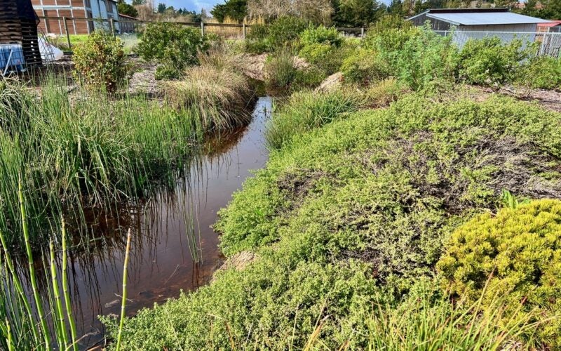 A small creek forming after rainfall