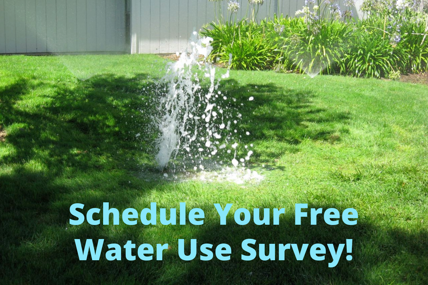 Photo of lawn with a broken sprinkler, text reads 'Schedule your free water use survey!'