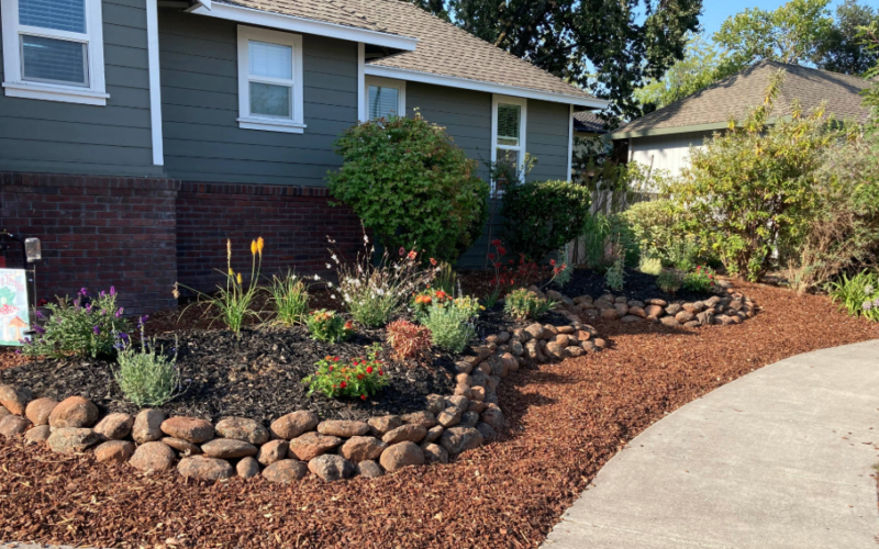 Brown mulch and rocks border a newly installed water-wise garden in front of a home bordered by sidewalk