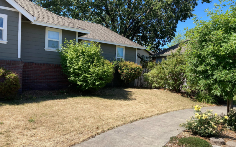 A brown lawn borders a sidewalk in front of a residential home
