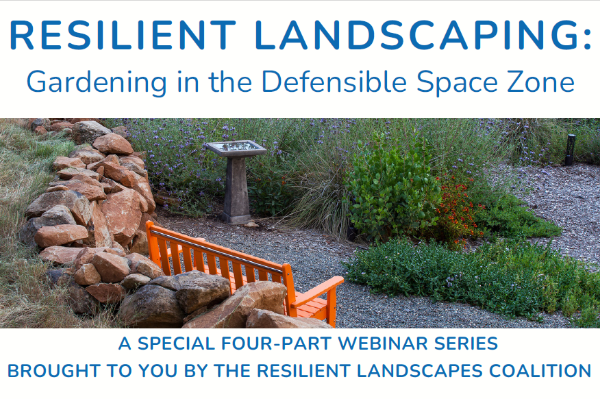Landscape with an orange bench, stone wall, gravel path and California native plants. Text reads 