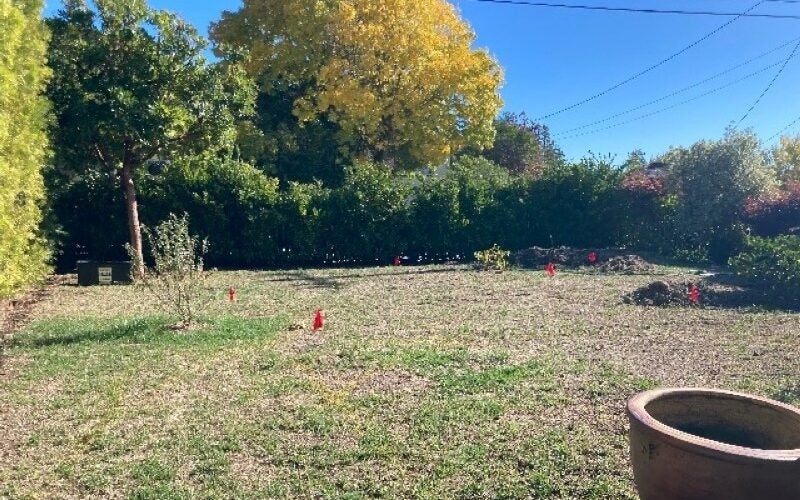 Brown lawn showing landscape before it was transformed to water-wise plants