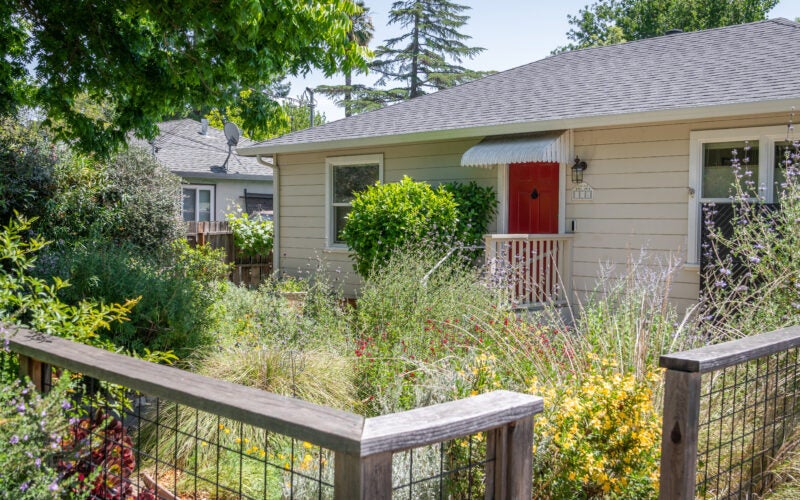Vibrant front yard of a white house showcasing transformation to low water use plants