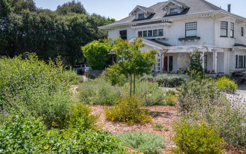 Large white farmhouse with an established water-wise landscape. Shrubs and perennials bloom with purple and orange flowers.
