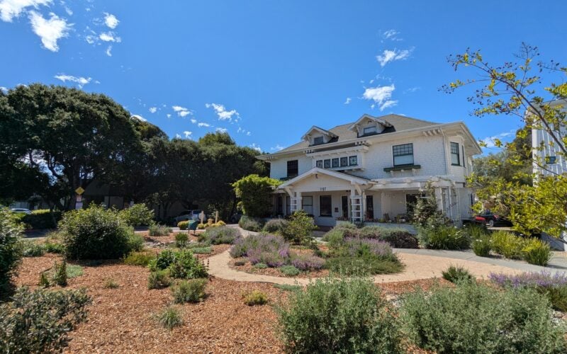 Large white farmhouse with a newly converted water-wise landscape. Drought tolerant shrubs and perennials with purple flowers are surrounded with brown mulch and a gravel path
