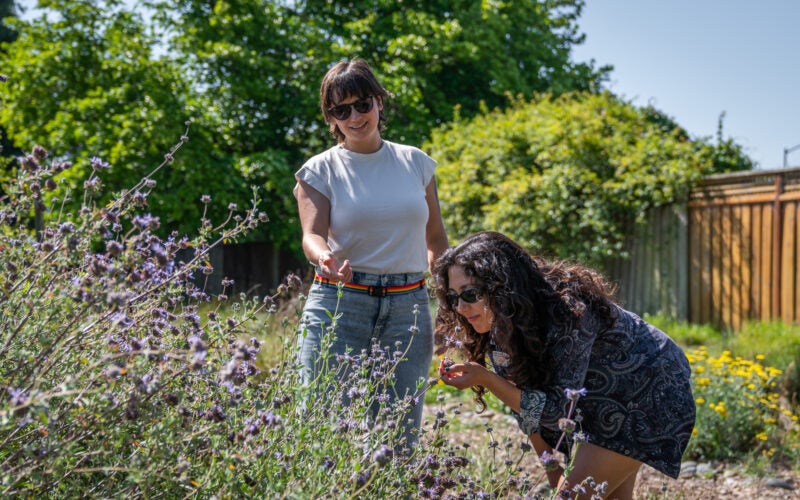 A person wearing a white shirt points at lavender whorls of sage flowers in a park setting while a person wearing a dark shirt leans in to smell the flowers