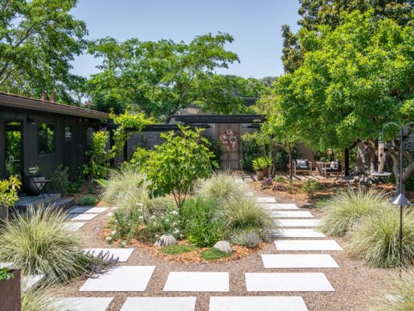 Water smart backyard with stepping stone path, mulched plantings, seating areas and a pergola