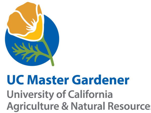 UC Master Gardener logo with golden poppy and blue background