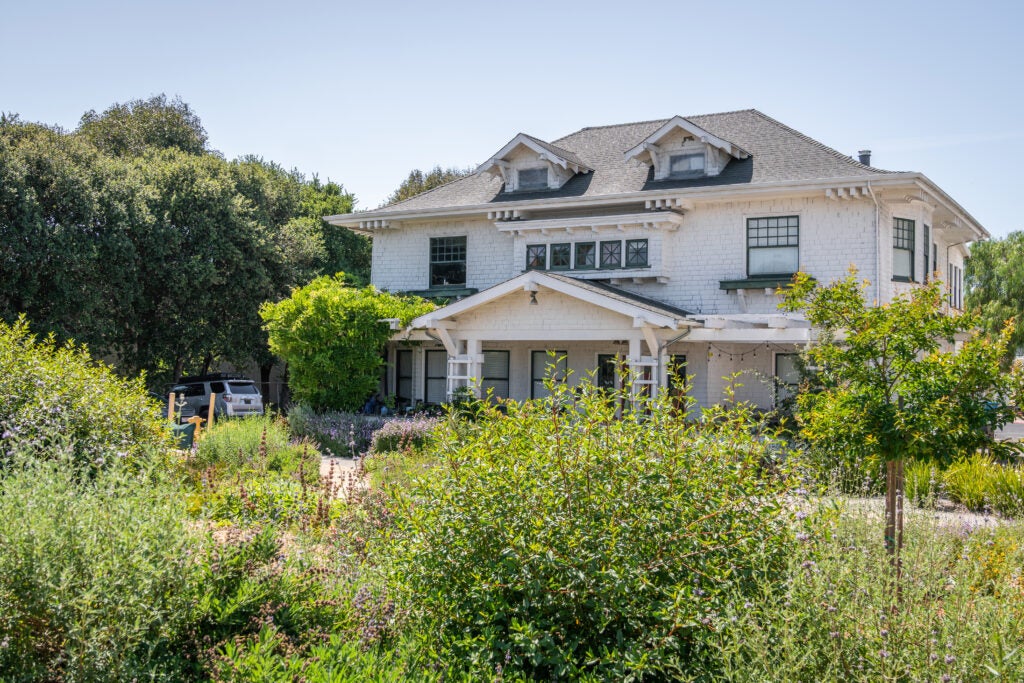 Large white farmhouse with drought tolerant landscaping in front of it.