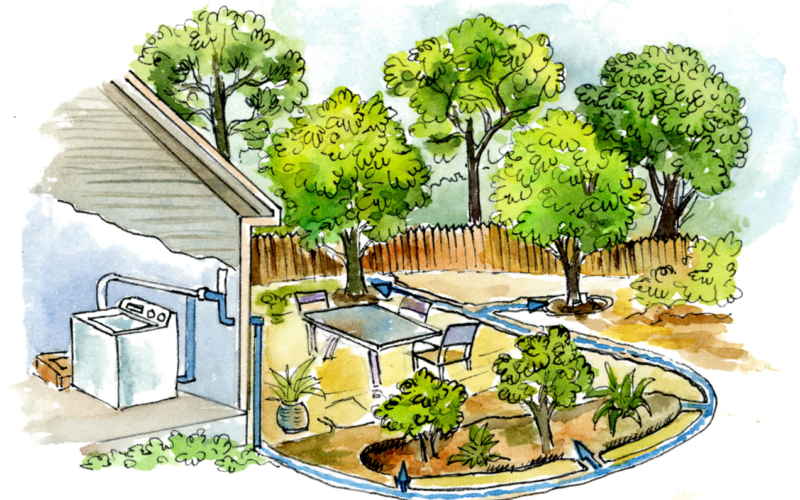 Illustrated drawing of a laundry to landscape irrigation system. Water from a washing machine is directed outside to irrigate trees.
