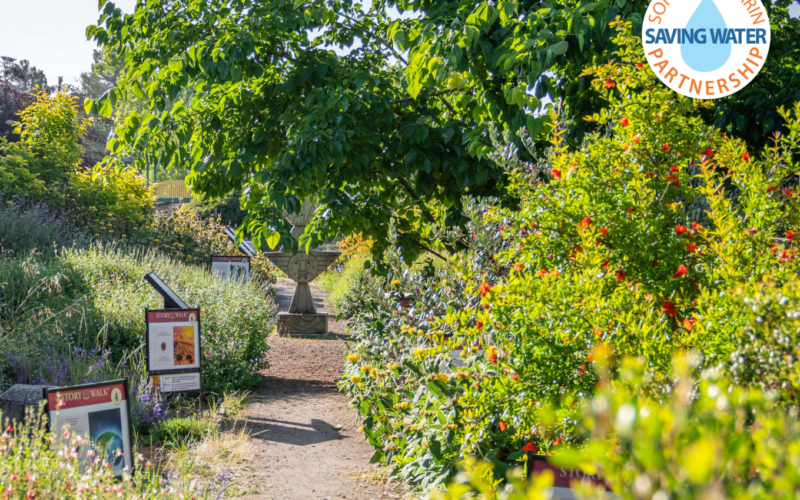 Garden with natural path and educational signage